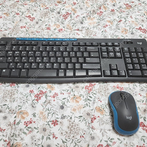 로지텍 MK275