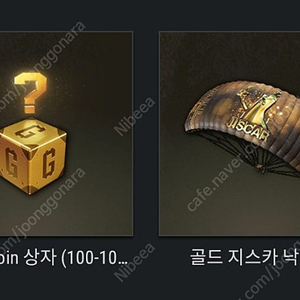 배틀그라운드 지스카 낙하산 랜덤 지코인 상자 쿠폰 코드