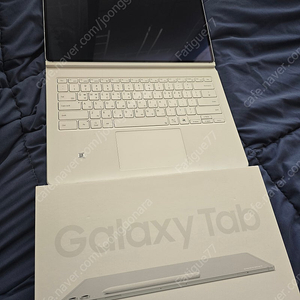 갤럭시탭 S10울트라 실버 5g 256gb