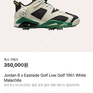 조던6 골프화