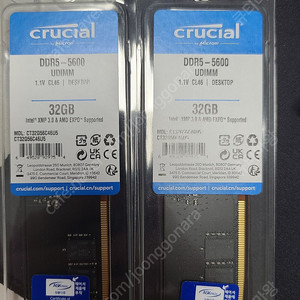 Crucial DDR5-5600 CL46 32G 2개 판매합니다.