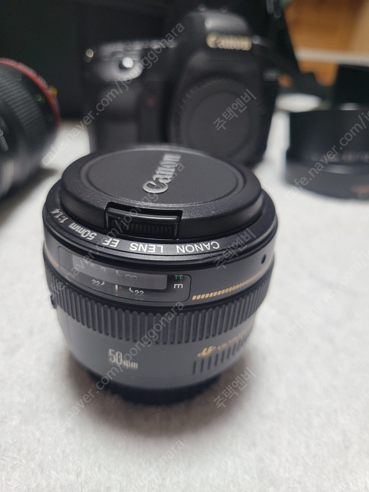 Canon 5D Mark2 / 캐논 EF 100mm F2.8L / 캐논 EF 50mm 1.4 이미지