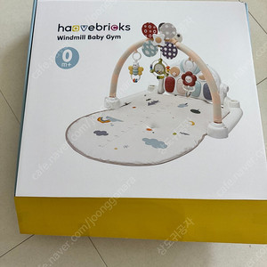 하베브릭스 아기체육관 haavevricks 아기운동장 1회 사용