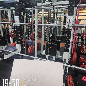 뉴디스 스미스 케이블 멀티랙