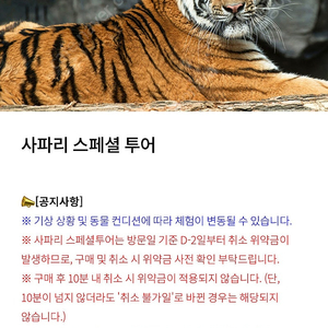 에버랜드 스페셜 사파리 투어 판매