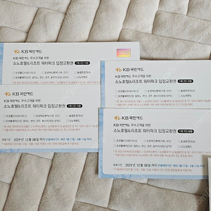 소노호텔&리조트 워터파크 입장교환권 2매4인