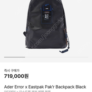 이스트팩X아더에러 콜라보 백팩 팝니다