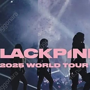블랙핑크 콘서트 BLACK석 연석 양도