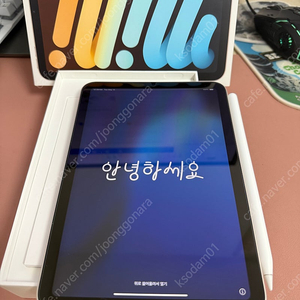 아이패드 미니6 256기가 와이파이 스타라이트풀박스+애펜2