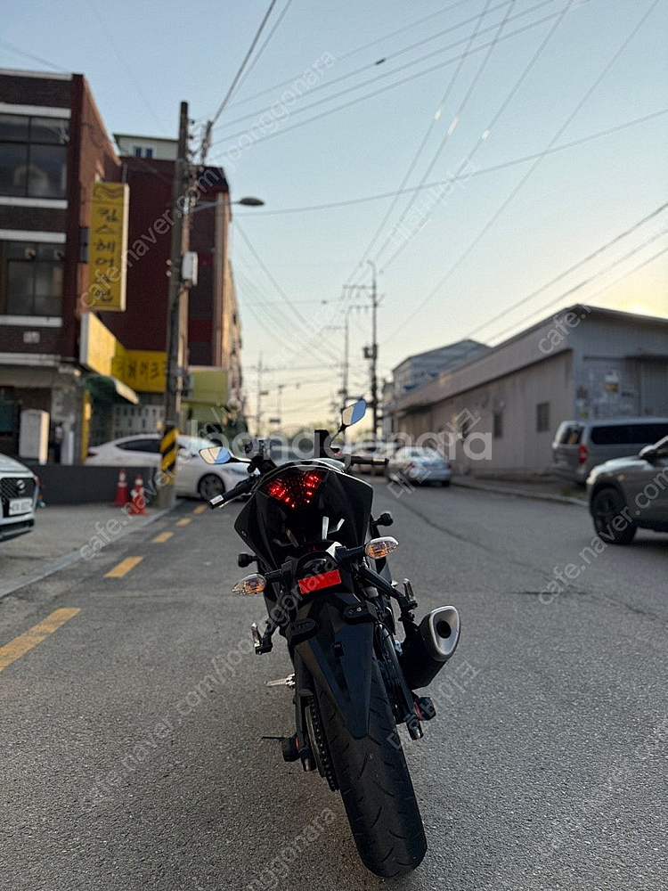 [점검완료]야마하 YZF-R3 20년식 9천KM 무광블...--6