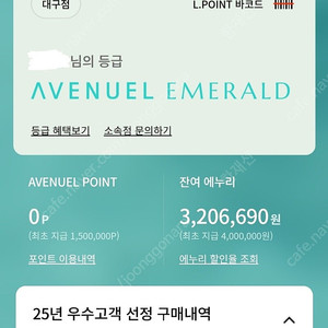 롯데 백화점 에메랄드 발렛