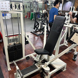싸이벡스 클래식 판매