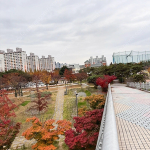 hp노트북
