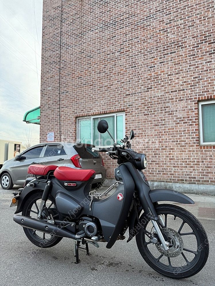 [신차보증]혼다 슈퍼커브 C125 24년식 8KM 앞뒤...--0