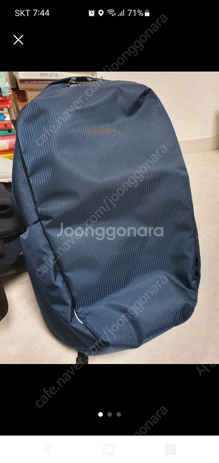 팩세이프 바이브25L 백팩 오션블루--0