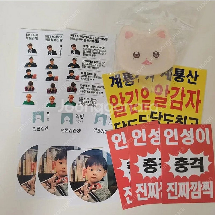 냥린이 품냥이 왕품냥 SF9 인성 인형 포카 홀더 그립...--2