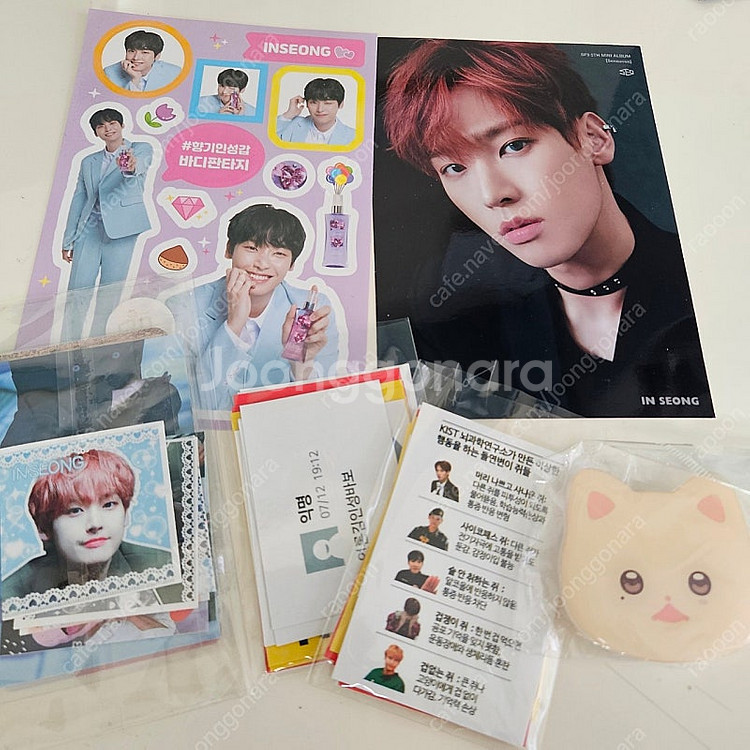 냥린이 품냥이 왕품냥 SF9 인성 인형 포카 홀더 그립...--3