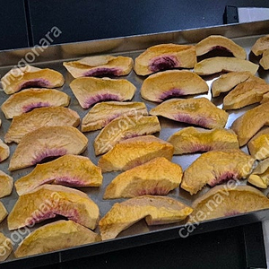 동결건조기 판매 (가격 인하)