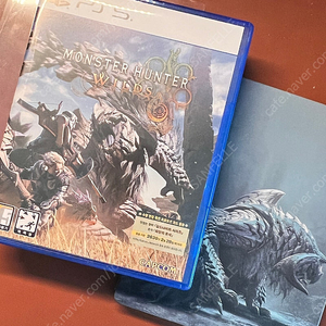 PS5 | 몬스터헌터 와일즈 (스틸북 + 코드)