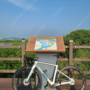 21년식 위아위스 래디컬 울테 팝니다