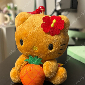 하와이 정품 태닝키티 (새상품)