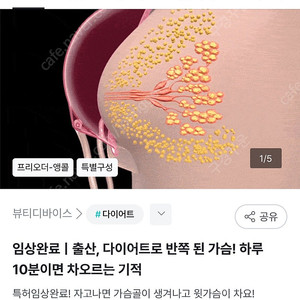 와디즈 이브라 1+1 같이 사실분