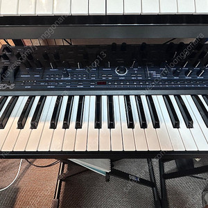 Oberheim 오버하임 teo-5
