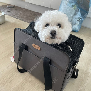 PARISDOG 강아지 이동 가방