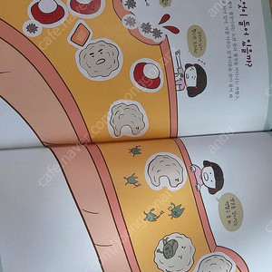 내친구 과학공룡 택포