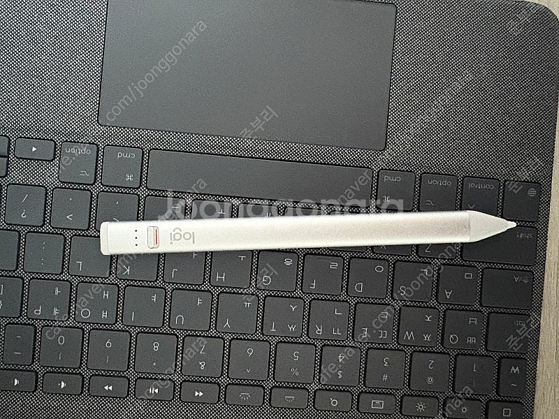 아이패드 프로11 4세대 256 실버 wifi 일본--9