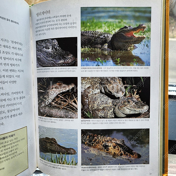 웅진 자연관찰책 푸른아이--3