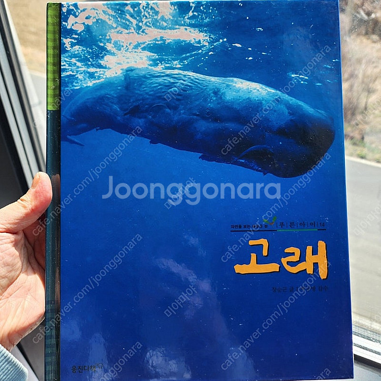 웅진 자연관찰책 푸른아이--5