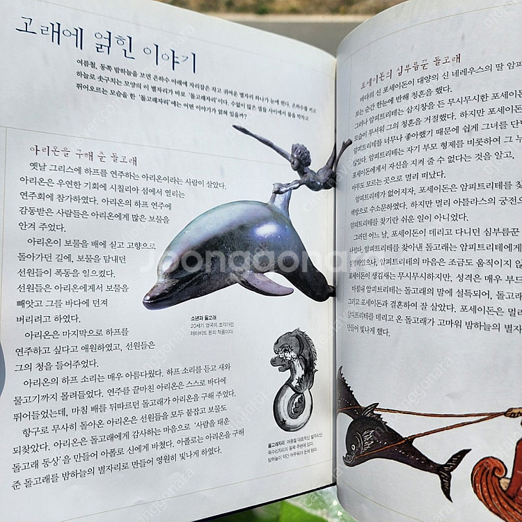 웅진 자연관찰책 푸른아이--9