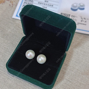 에디슨 진주 귀걸이, 최고 퀄리티, 완벽한 구형,크기 11mm~12mm,18K침