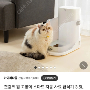 고양이 자동 급식기