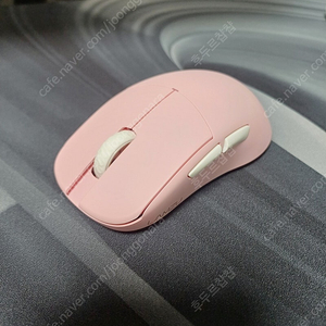 람주 아틀란티스 미니 챔피언 핑크