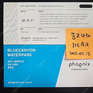 휘닉스파크 블루캐니언 종일권 2매 ~5/31