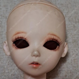 구체관절인형/블루페어리/msd본체