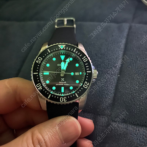 세이코 sne573p1