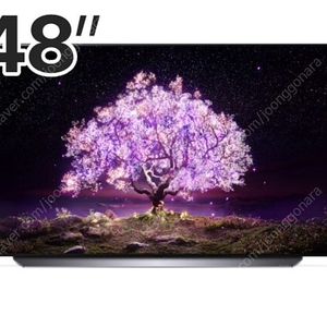 LG전자 올레드 OLED48C1ENB 48인치 스마트 TV 모니터 액정교체 새제품 매직리모컨 이삿짐 정리중 다른 물품도 판매하므로 필요하시면 같이 말씀해주세요 이제품의 장점은