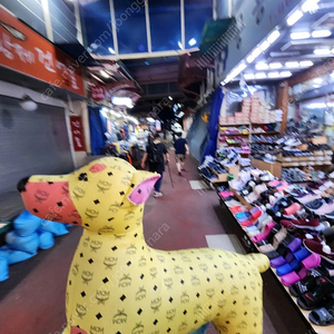 mcm 도베르만 대형