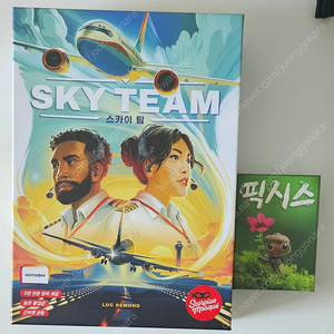 보드게임 스카이팀+확장