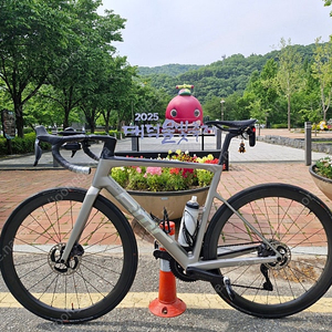 BMC slr01 five(22년식 팀머신) 56사이즈