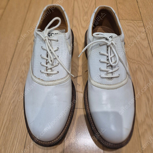 에코 월드클래스 GTX 골프화 41(265) ₩인하