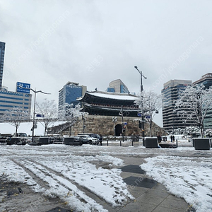 리코 GR3X 어반에디션 미개봉 빠른거래원해요