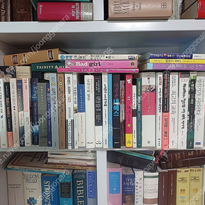 문학/인문/사회/경제/롤모델시리즈/송명희 찬송시집
