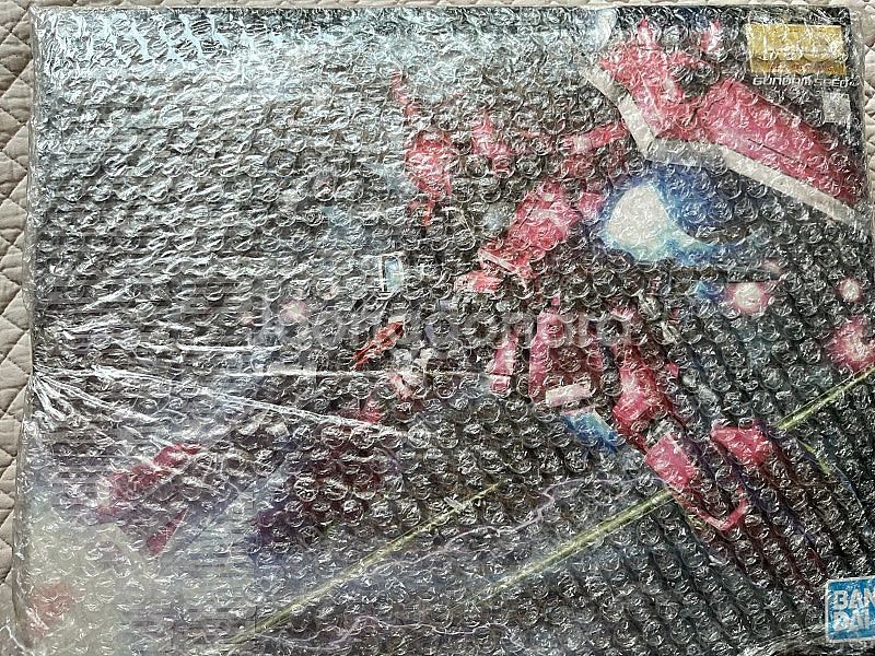 MG 건너 자쿠 워리어 (루나마리아 커스텀)--0