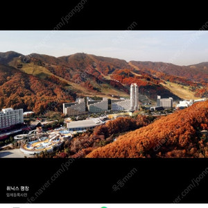 휘닉스파크(평창) 스위트(30평형) 2025 6월 5일~8일 숙박권 양도