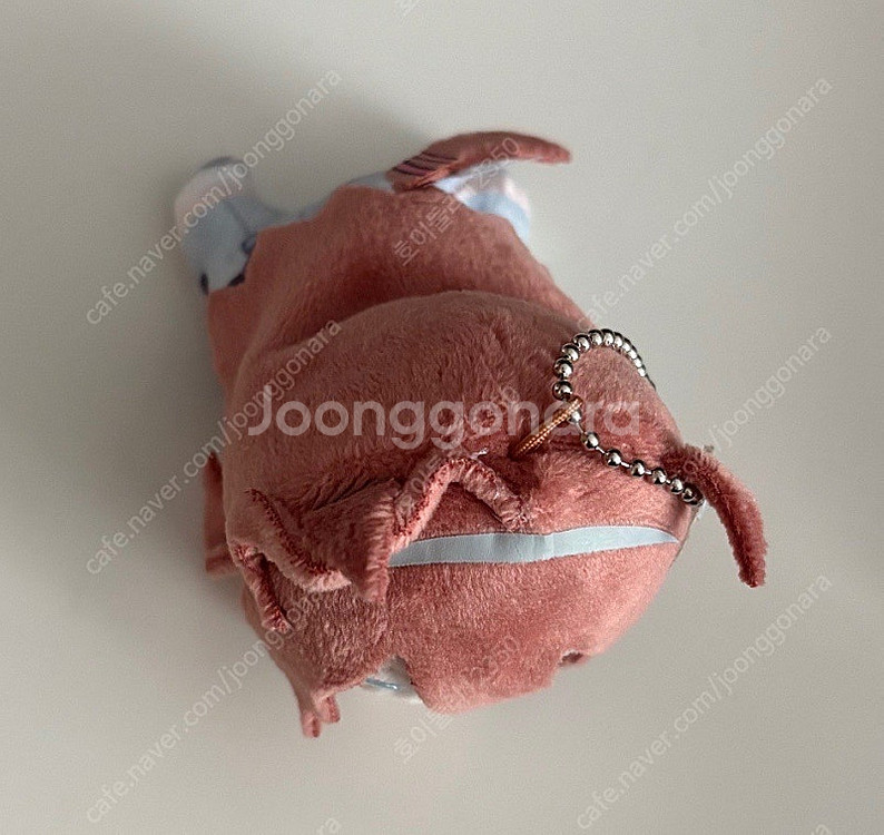 허그캬라(코큐트) 미호노 부르봉--1