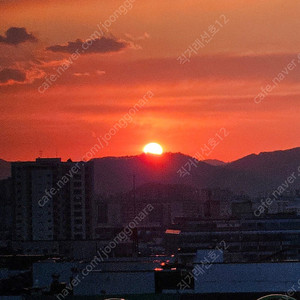 메랜 월드코인80%삽니다 6400개